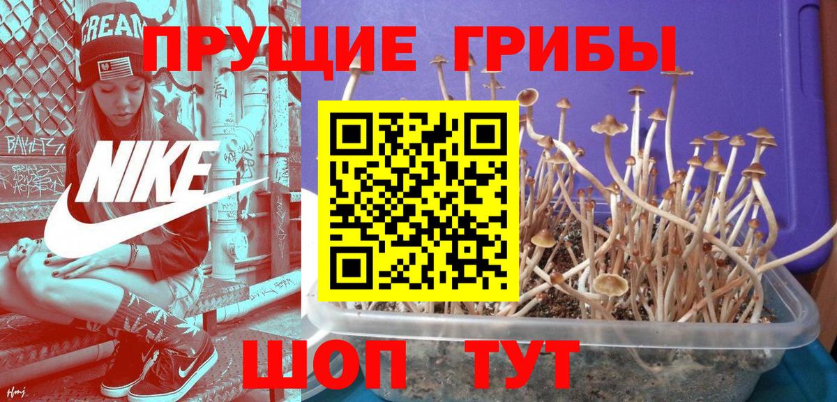 Галлюциногенные грибы Magic Shrooms  Вход с VPN  Пятигорск 