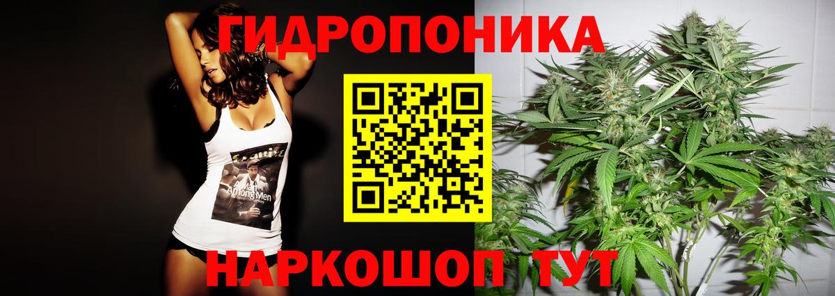Шишки марихуана Amnesia Пятигорск